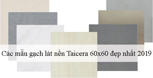 Điểm danh các mẫu gạch lát nền Taicera 60×60 Đẹp – Chất lượng nhất