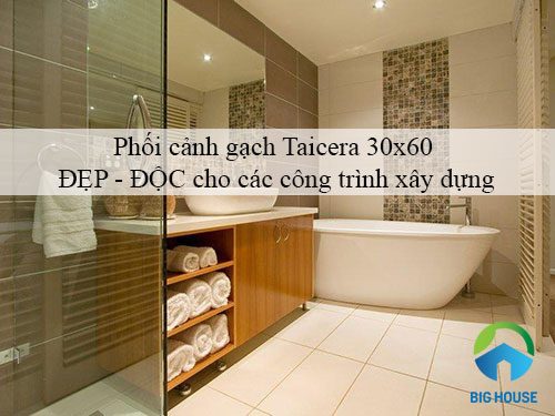 Phối cảnh gạch Taicera 30×60 ĐẸP – ĐỘC cho các công trình xây dựng