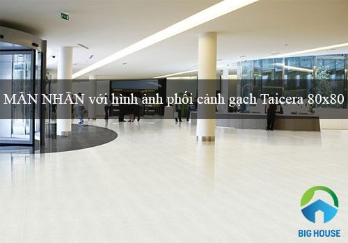 MÃN NHÃN với hình ảnh phối cảnh gạch Taicera 80×80 mới nhất 2026